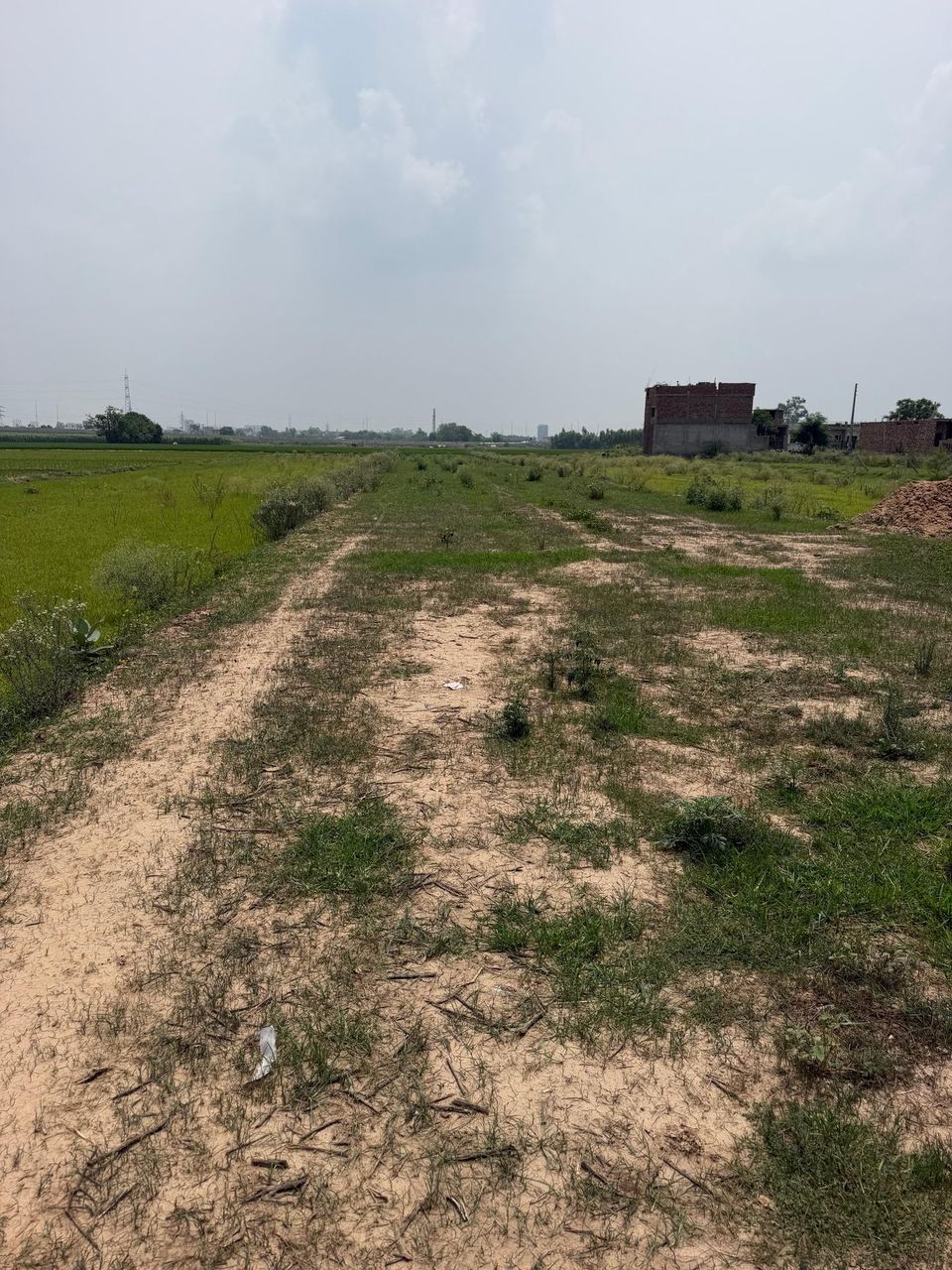 Mamupur Plots Adjoining CU